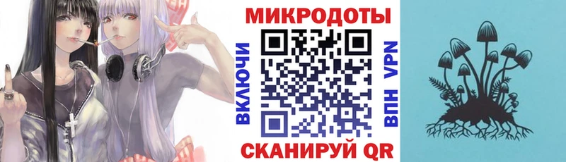 ссылка на мегу ССЫЛКА что такое наркотик Чадан Псилоцибиновые грибы MAGIC MUSHROOMS